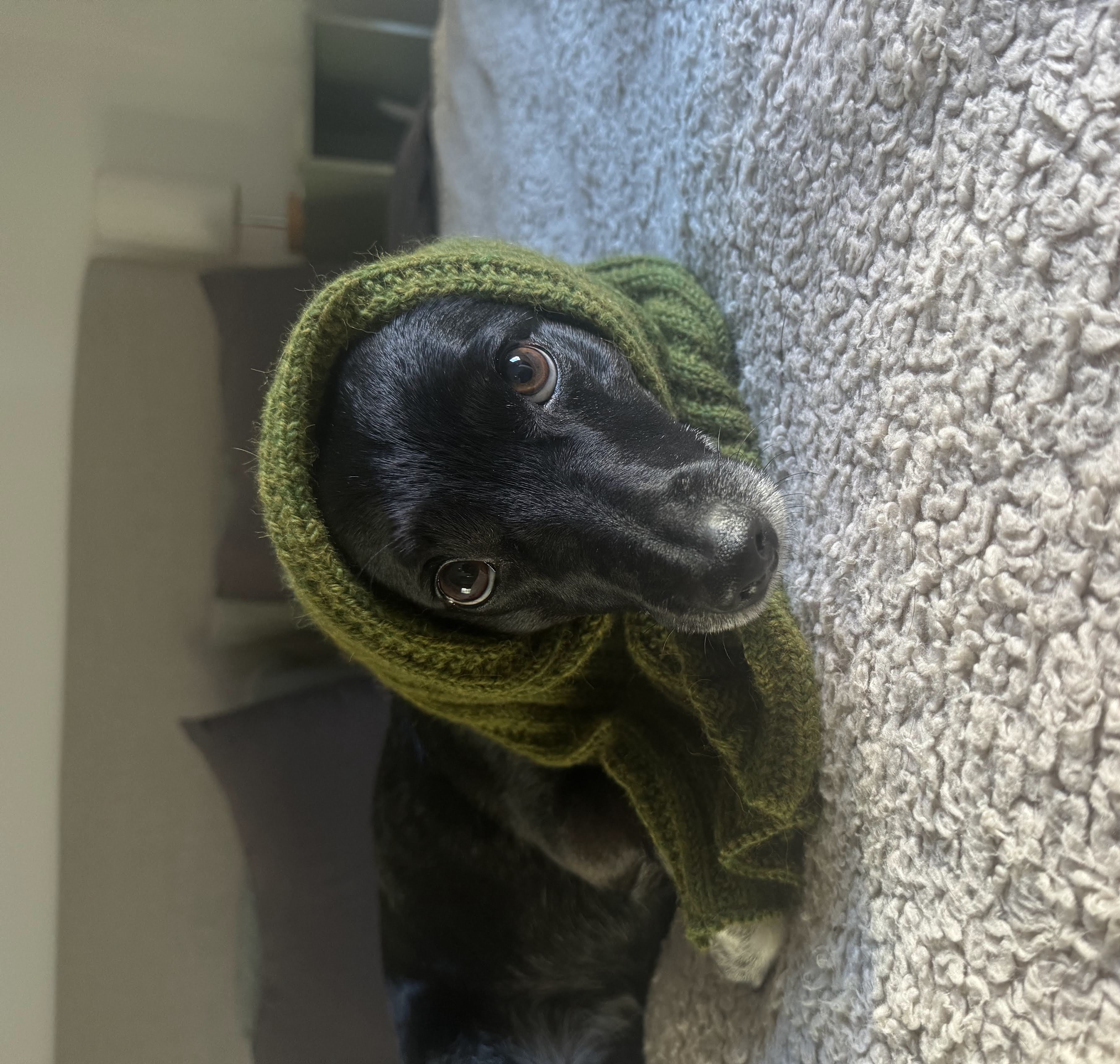 Pooja modeling a hand-knit scarf